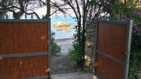 VILLA MILVIO con accesso privato in spiaggia